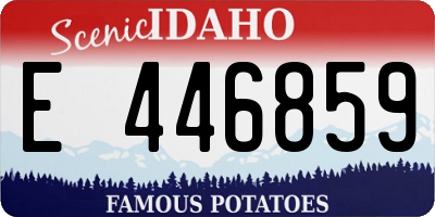 ID license plate E446859