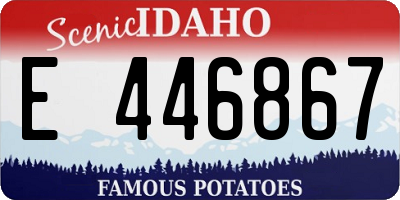 ID license plate E446867