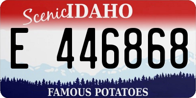ID license plate E446868