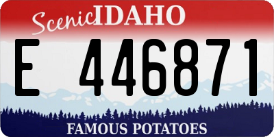 ID license plate E446871