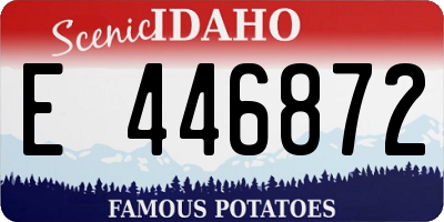 ID license plate E446872
