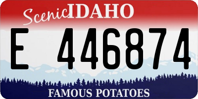 ID license plate E446874