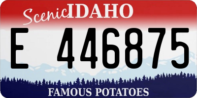 ID license plate E446875