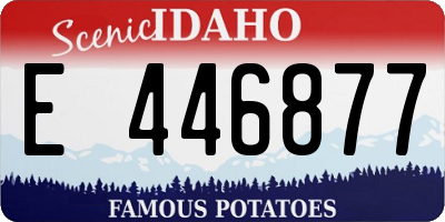 ID license plate E446877