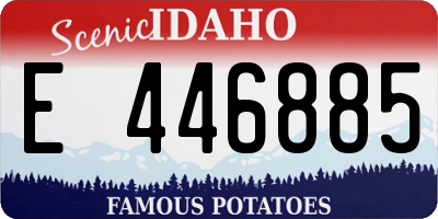 ID license plate E446885