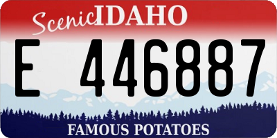 ID license plate E446887