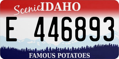 ID license plate E446893
