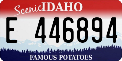ID license plate E446894