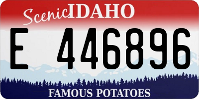 ID license plate E446896