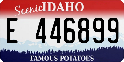 ID license plate E446899