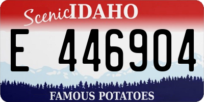 ID license plate E446904