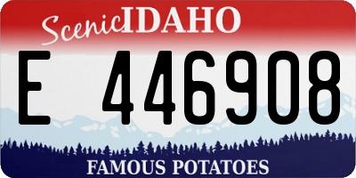 ID license plate E446908
