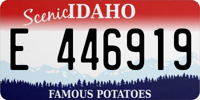 ID license plate E446919