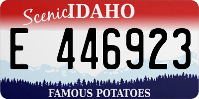 ID license plate E446923