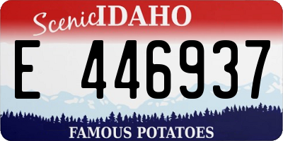 ID license plate E446937