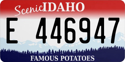 ID license plate E446947