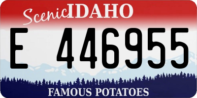 ID license plate E446955