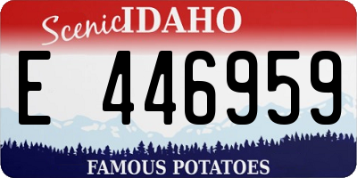 ID license plate E446959