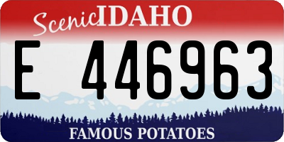 ID license plate E446963
