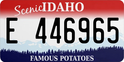 ID license plate E446965