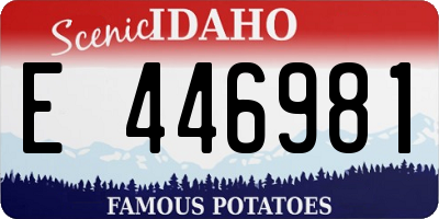 ID license plate E446981