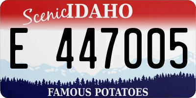 ID license plate E447005