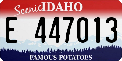 ID license plate E447013