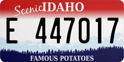 ID license plate E447017