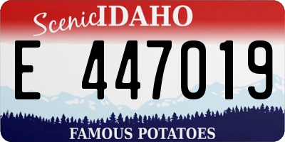 ID license plate E447019