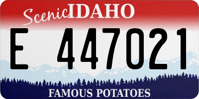 ID license plate E447021