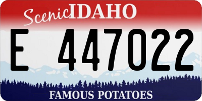 ID license plate E447022