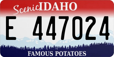 ID license plate E447024