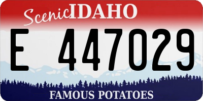 ID license plate E447029