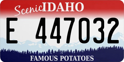 ID license plate E447032