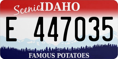 ID license plate E447035