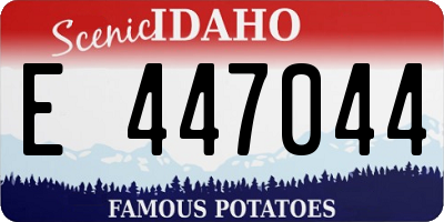 ID license plate E447044