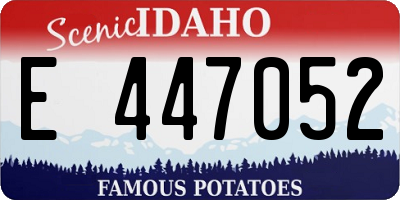 ID license plate E447052