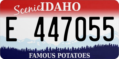 ID license plate E447055