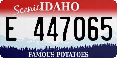 ID license plate E447065
