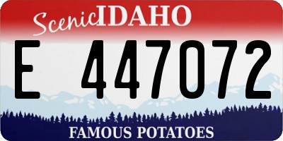 ID license plate E447072