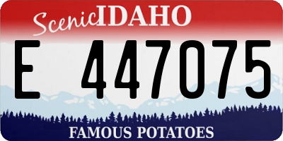 ID license plate E447075