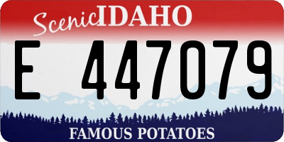 ID license plate E447079