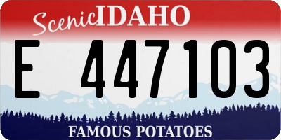 ID license plate E447103