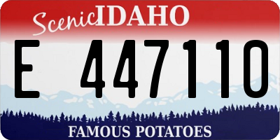 ID license plate E447110