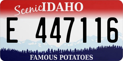 ID license plate E447116