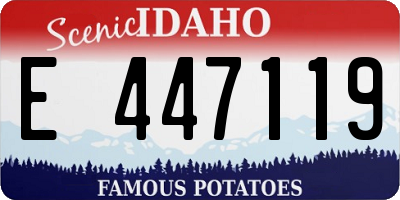 ID license plate E447119
