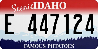 ID license plate E447124