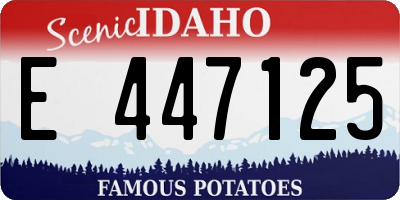 ID license plate E447125