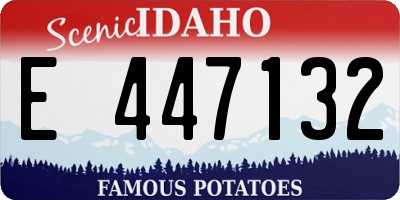 ID license plate E447132