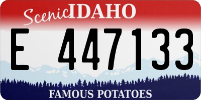 ID license plate E447133